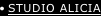 shapeimage_15_link_15