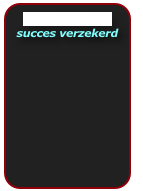 Funportret galerie
succes verzekerd