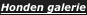 shapeimage_28_link_0